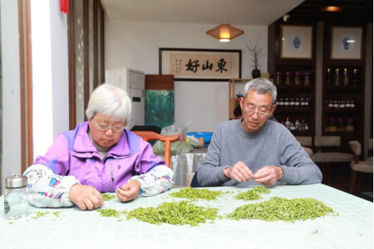 有关于新茶飘香 2023年头锅碧螺春今在苏州东山开炒的新闻(6)