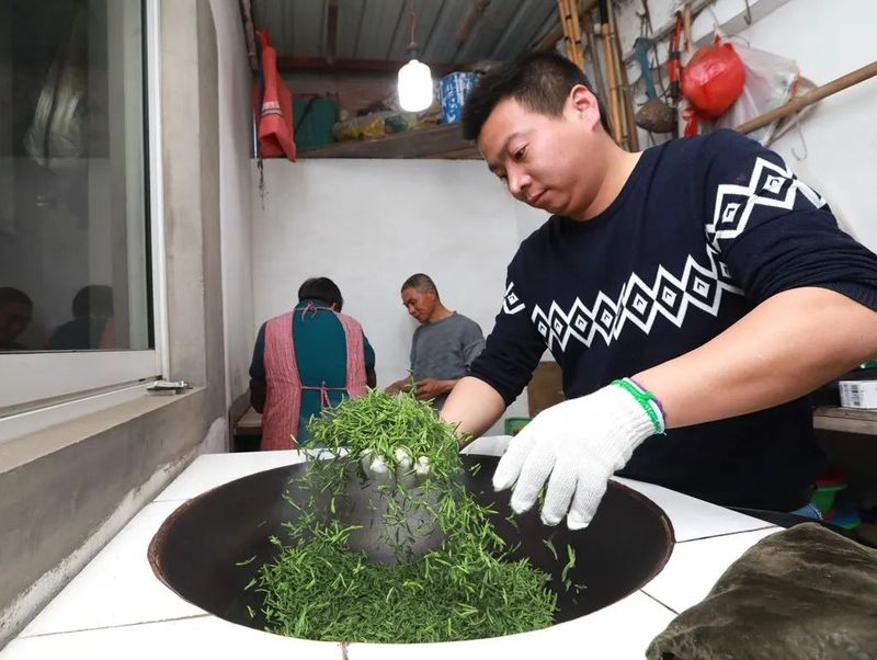 有关于新茶飘香 2023年头锅碧螺春今在苏州东山开炒的新闻(11)