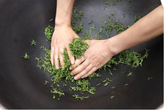 有关于新茶飘香 2023年头锅碧螺春今在苏州东山开炒的新闻(8)