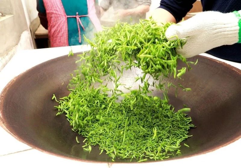 有关于新茶飘香 2023年头锅碧螺春今在苏州东山开炒的新闻(9)