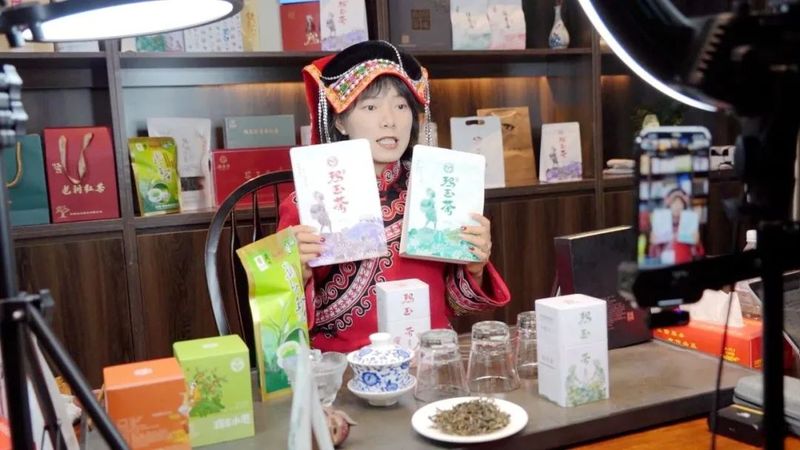 有关于生态绿春 邀您沉浸式体验早春采茶的相关内容(5)