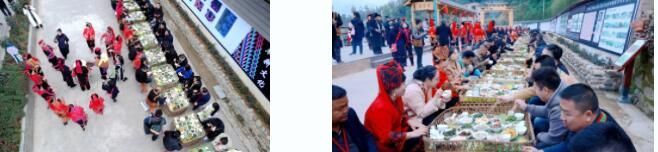 有关于生态绿春 邀您沉浸式体验早春采茶的相关内容(4)