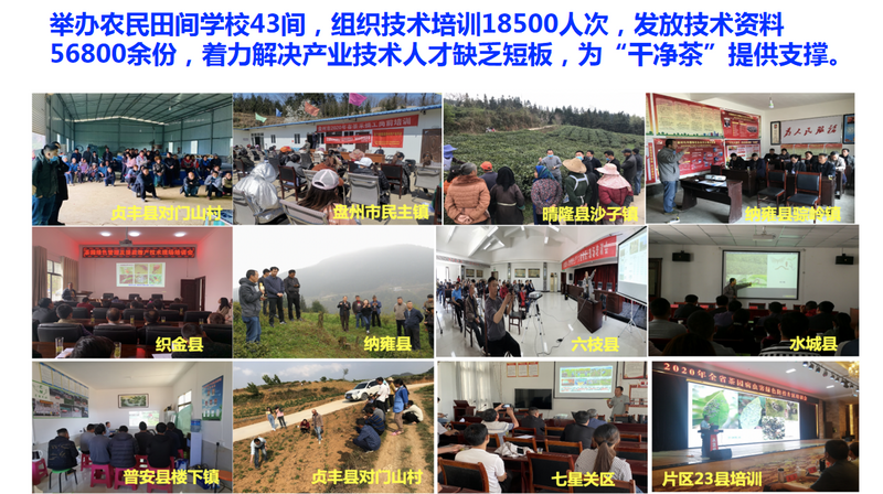 有关于种干净黔茶 服务乡村振兴——宋宝安院士在第十一届贵州茶业经济年会上的演讲的相关信息(4)