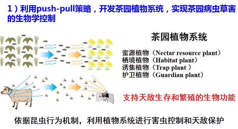 有关于种干净黔茶 服务乡村振兴——宋宝安院士在第十一届贵州茶业经济年会上的演讲的相关信息(7)
