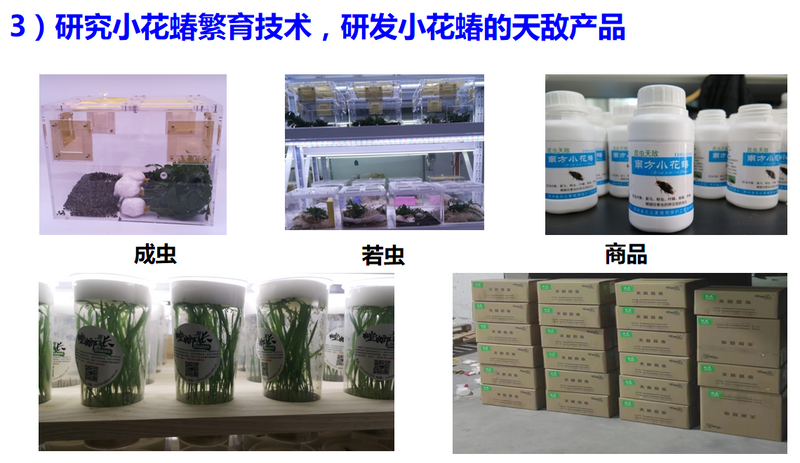 有关于种干净黔茶 服务乡村振兴——宋宝安院士在第十一届贵州茶业经济年会上的演讲的相关信息(8)