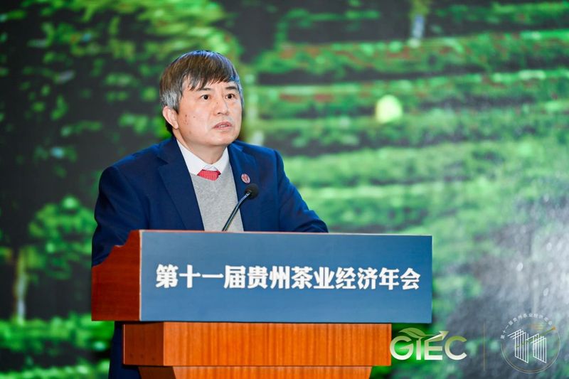 有关于种干净黔茶 服务乡村振兴——宋宝安院士在第十一届贵州茶业经济年会上的演讲的相关信息(1)