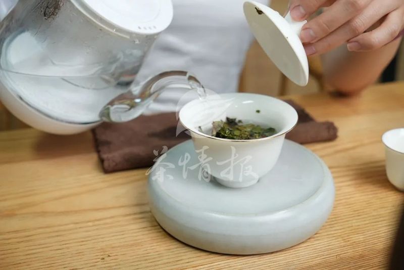 关于喝白茶咳嗽，喉咙不舒服是什么原因？的最新消息