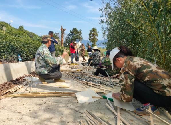 关于黄山区：太平湖畔 茶园尽披“黄金甲”的相关信息