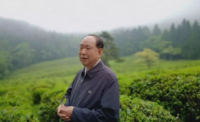 有关于茶启蒙，从《探秘中国茶（少儿版）》开始！的相关内容(12)