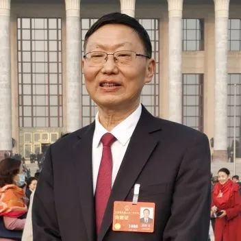 有关于全国两会茶业“声音”来了！这些新提议为行业发展带来哪些讯息？的内容(7)