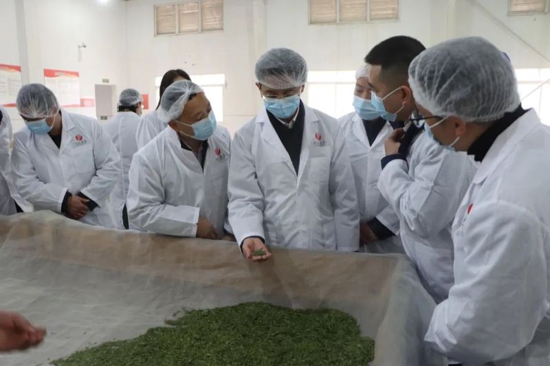 关于张锡恒调研早茶销售及茶企生产经营情况的最新消息(2)