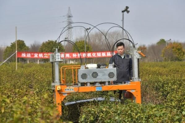 关于茶园“宜机化”改造 助力镇江茶产业提质增效的内容(1)