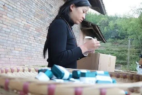 关于金沙贡茶 生态好茶，金沙贡茶：古茶飘香今朝换新颜的资讯(6)