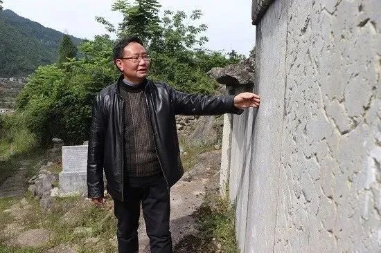 关于金沙贡茶 生态好茶，金沙贡茶：古茶飘香今朝换新颜的资讯(2)