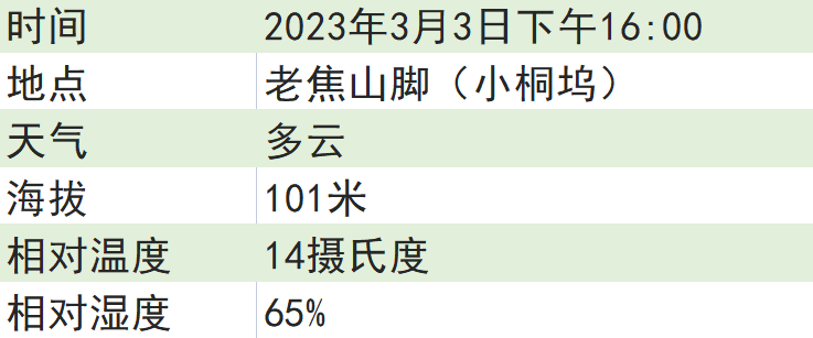 关于2023西湖龙井之声④茶芽监测 茶芽宝宝成长数据速递的消息(8)