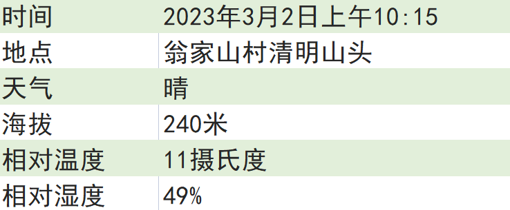 关于2023西湖龙井之声④茶芽监测 茶芽宝宝成长数据速递的消息(2)