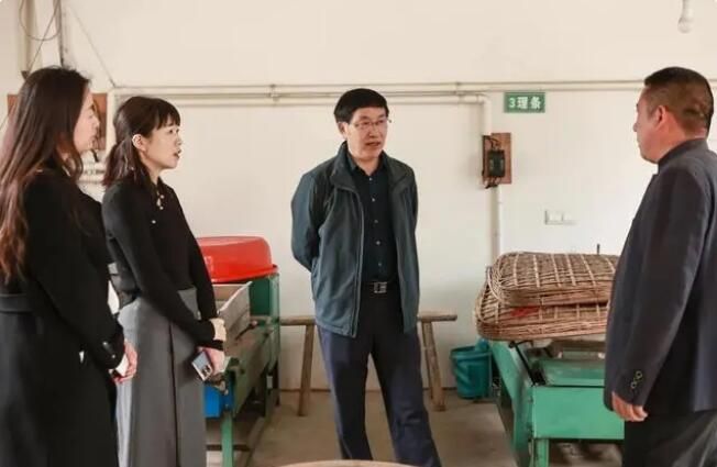 关于中国农业科学院茶叶研究所鲁成银专家莅临广德进行茶产业调研指导的最新消息(1)