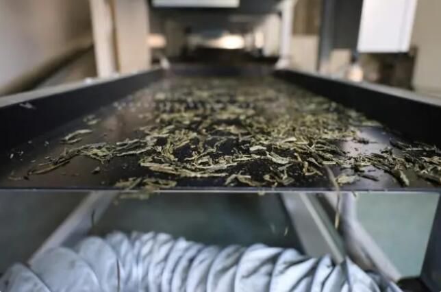 关于新机器提茶香 无人机忙施肥 “黑科技”助力余杭茶叶生产的信息(2)