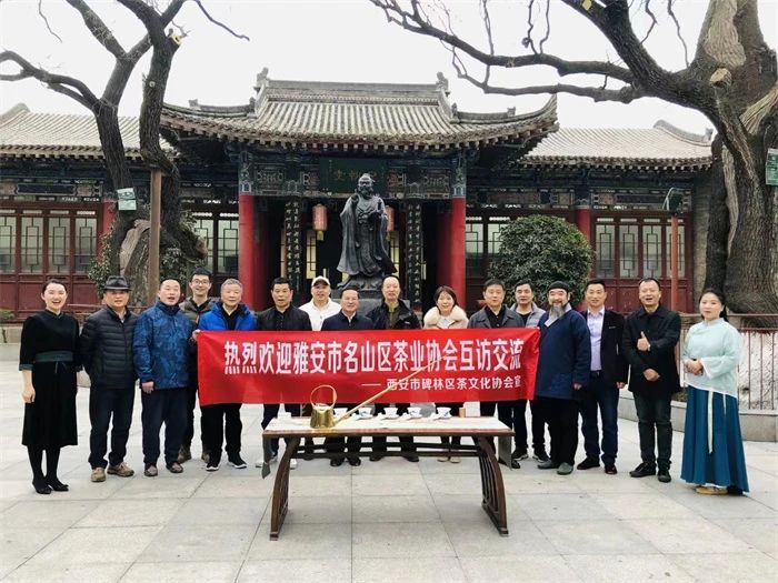 关于雅安市名山区茶业协会与碑林区茶文化协会开展交流共建活动的最新消息