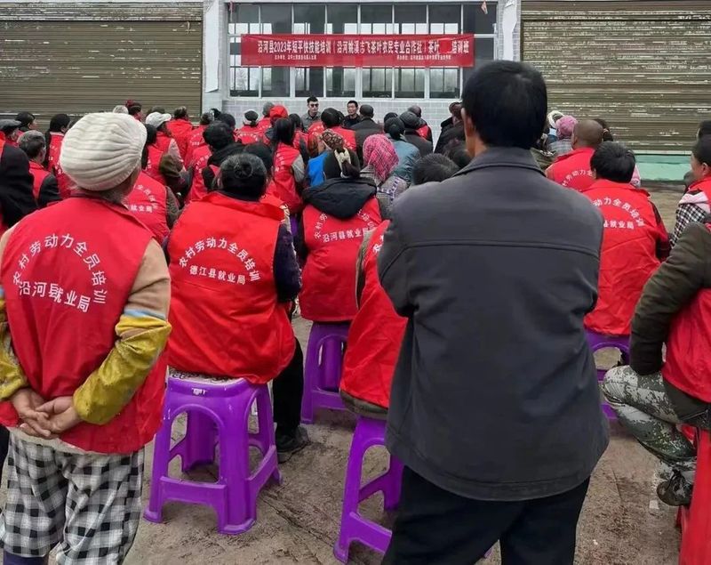 关于春茶开采忙的内容(11)