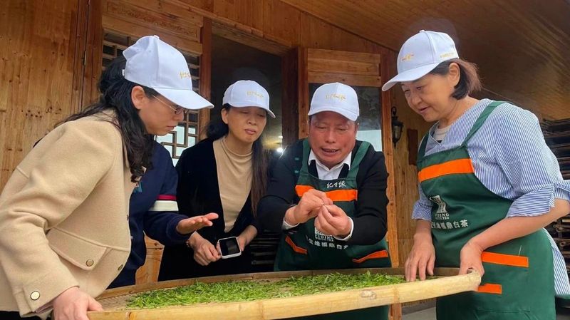 有关于春暖茶飘香！的资讯(5)