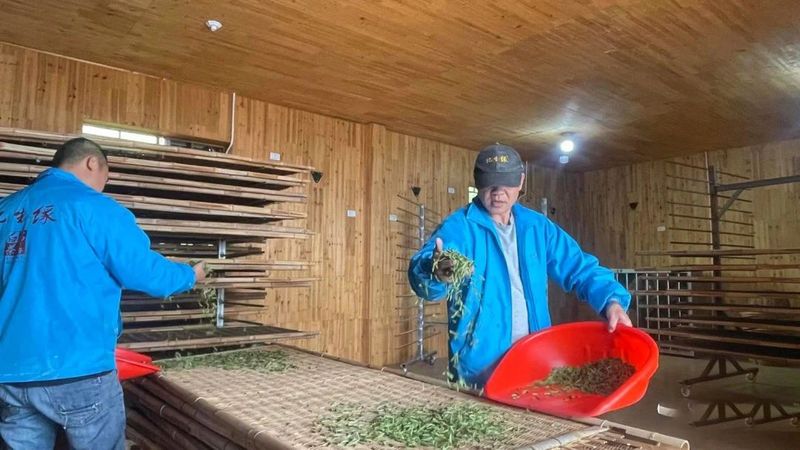 有关于春暖茶飘香！的资讯(2)