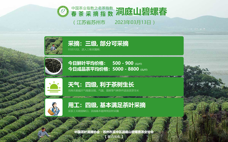 关于“洞庭山碧螺春、西湖龙井、湄潭翠芽开采”“两会茶声音”“数字茶业发展”的新闻