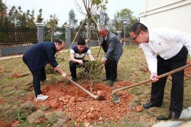 有关于苍梧县：不负春日好时光，种树添绿正当时的新闻