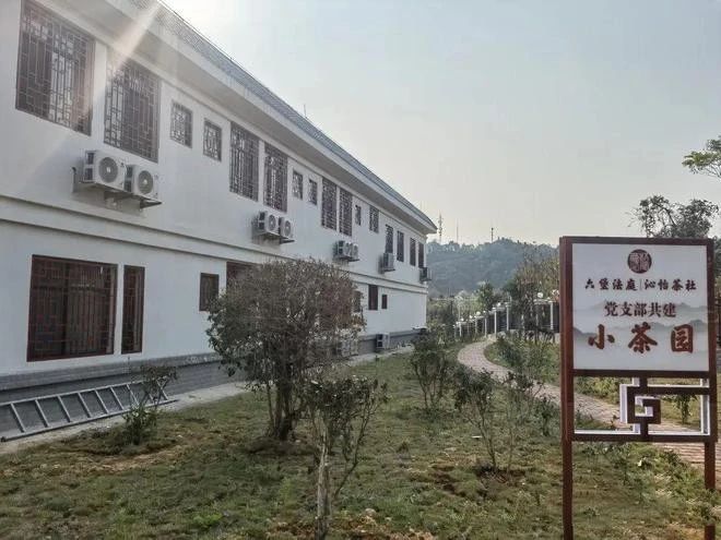 有关于苍梧县：不负春日好时光，种树添绿正当时的新闻(5)