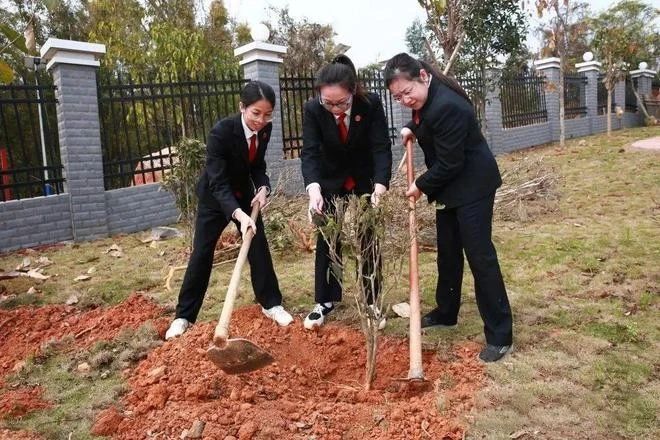 有关于苍梧县：不负春日好时光，种树添绿正当时的新闻(2)