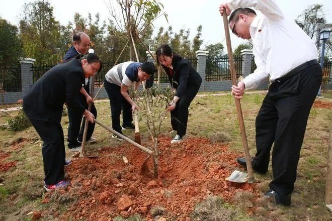 有关于苍梧县：不负春日好时光，种树添绿正当时的新闻(1)