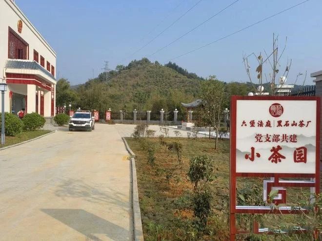 有关于苍梧县：不负春日好时光，种树添绿正当时的新闻(6)