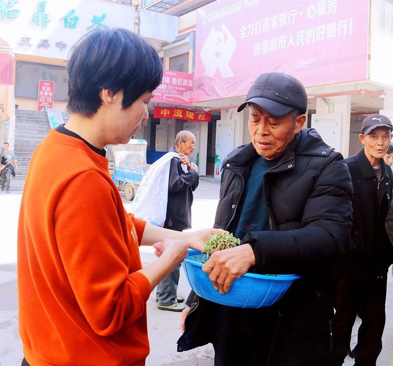 有关于2023年福鼎白茶大数据溯源平台正式开启！的相关信息(3)