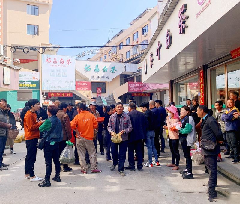 有关于2023年福鼎白茶大数据溯源平台正式开启！的相关信息