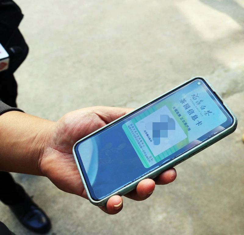 有关于2023年福鼎白茶大数据溯源平台正式开启！的相关信息(2)