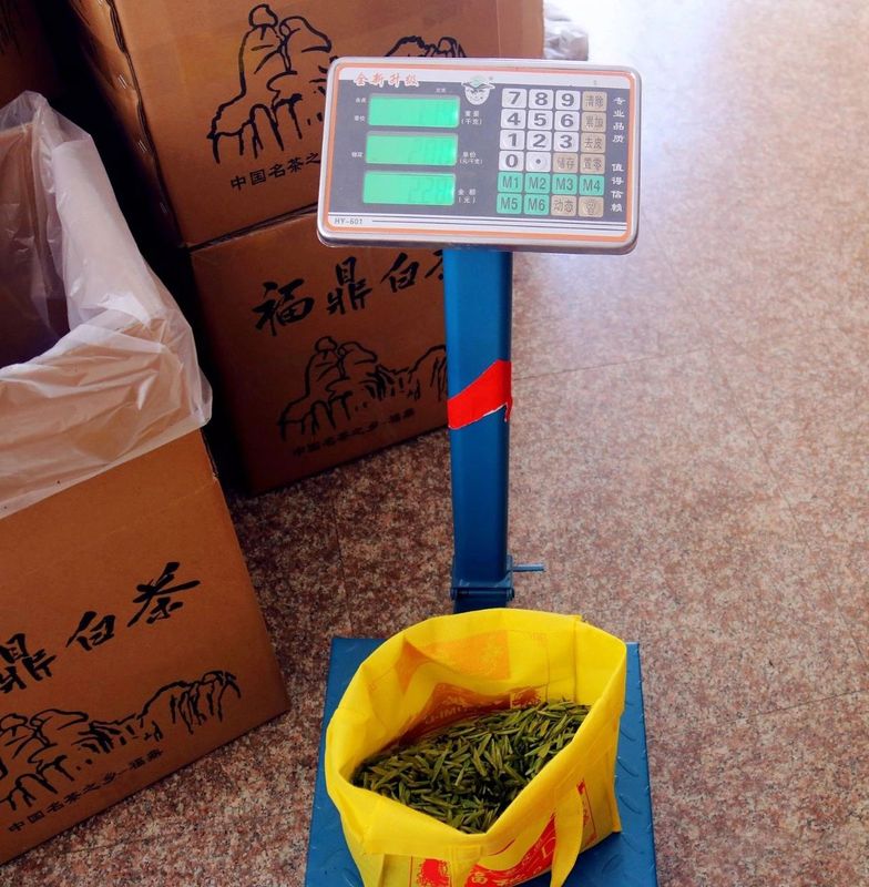 有关于2023年福鼎白茶大数据溯源平台正式开启！的相关信息(1)