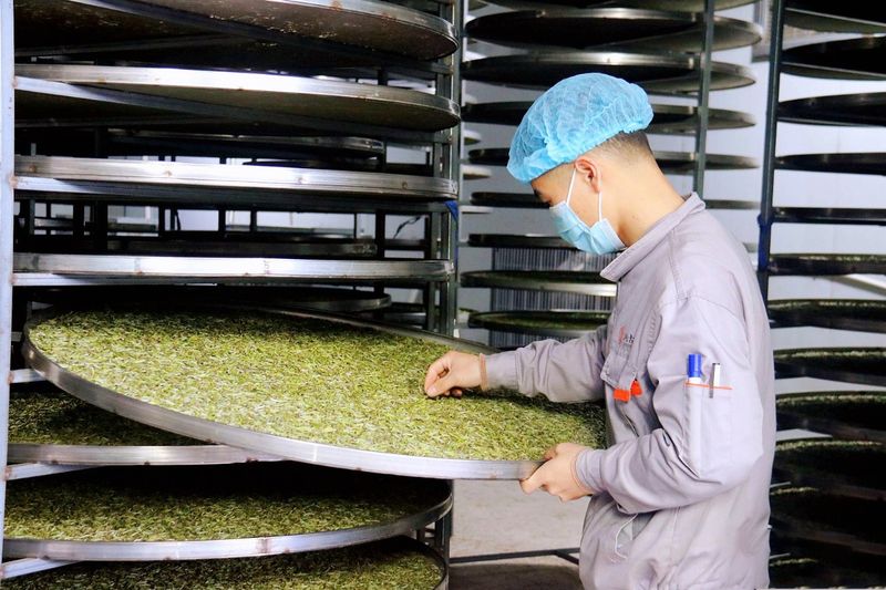 有关于2023年福鼎白茶大数据溯源平台正式开启！的相关信息(4)