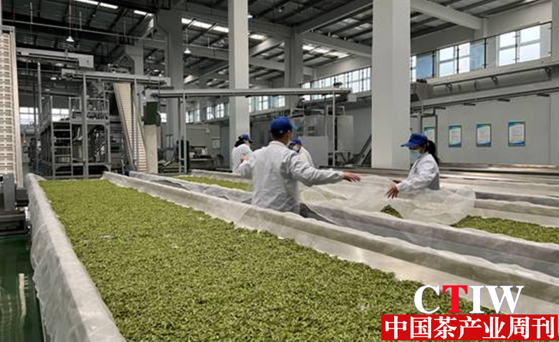 关于四川 东西协作出“新茶” 领导化身“推销员”的相关信息(1)