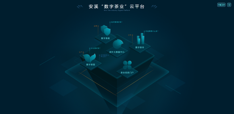 关于央视关注数字茶业发展新期待的内容(3)