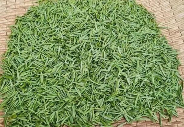 关于宁强县燕子砭镇“陕南第一锅”春茶开采啦！的内容(4)