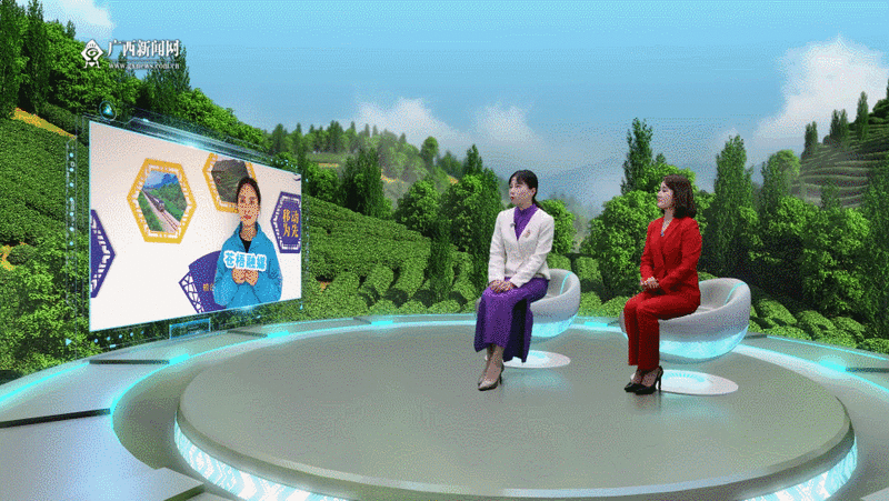 有关于石濡菲：由侨销茶成为俏销茶 续写六堡茶产业新篇章的资讯(7)