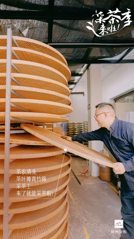 关于开采时间定了！今年西湖龙井新茶产量如何的资讯(4)