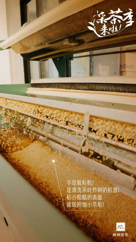 关于开采时间定了！今年西湖龙井新茶产量如何的资讯(5)