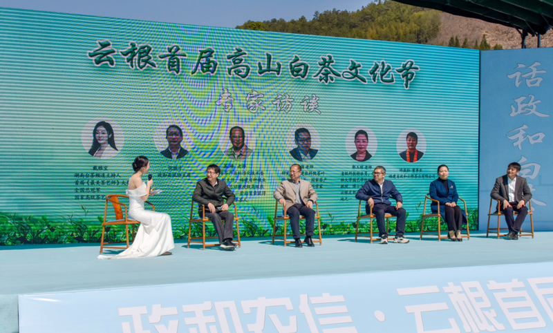 关于“从新康出发 话政和白茶”暨政和农信·云根首届高山白茶文化节开幕的资讯(2)