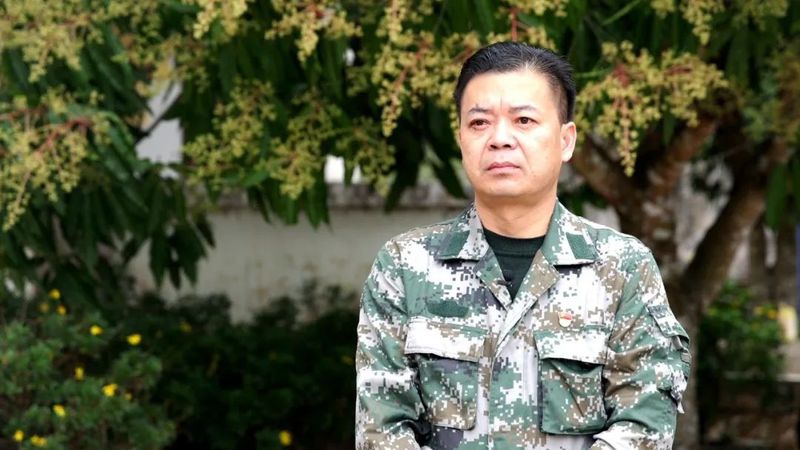 关于绿春：春茶上市采摘忙的消息(3)