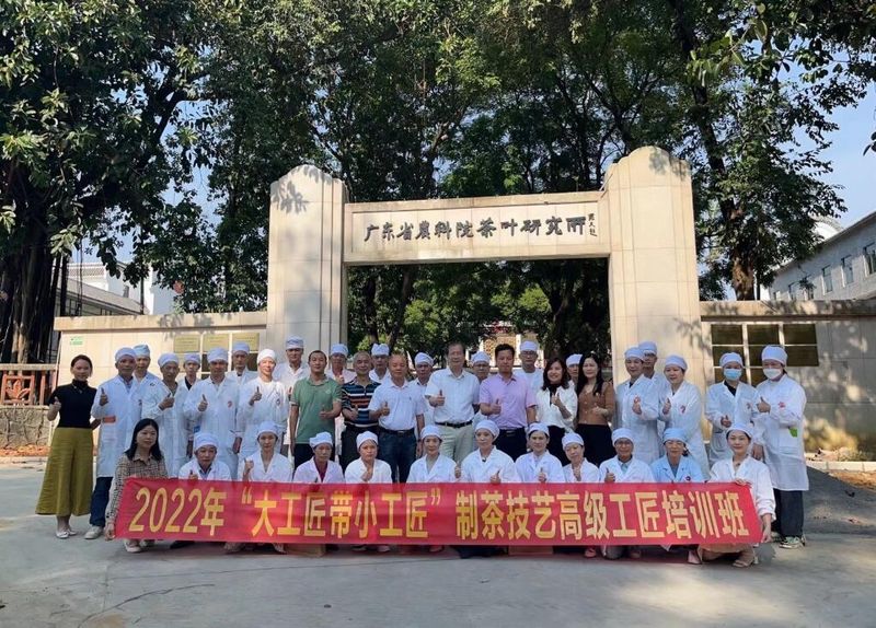 有关于广东省英德市以“四能”为动力 推动“四茶”高质量发展的新闻(2)