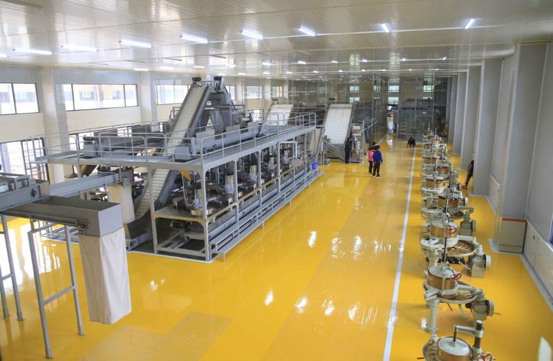 有关于广东省英德市以“四能”为动力 推动“四茶”高质量发展的新闻(1)