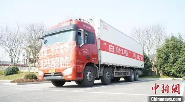 关于“白叶1号”再启程 浙江安吉2023年将续捐茶苗600万株的消息