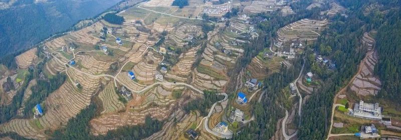 关于好山好水出好茶 旺苍培育出百亿茶产业集群的信息(1)