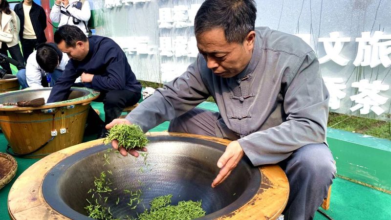 有关于湄潭春茶开采了！的内容(3)